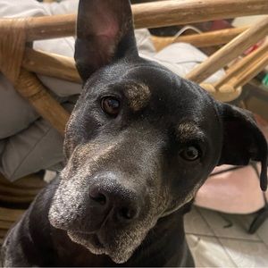 Meet your Posher, xanna